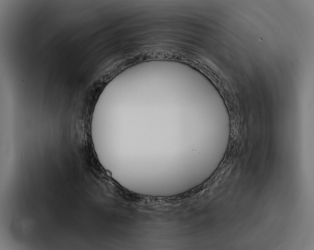 X0000088220774200705151028