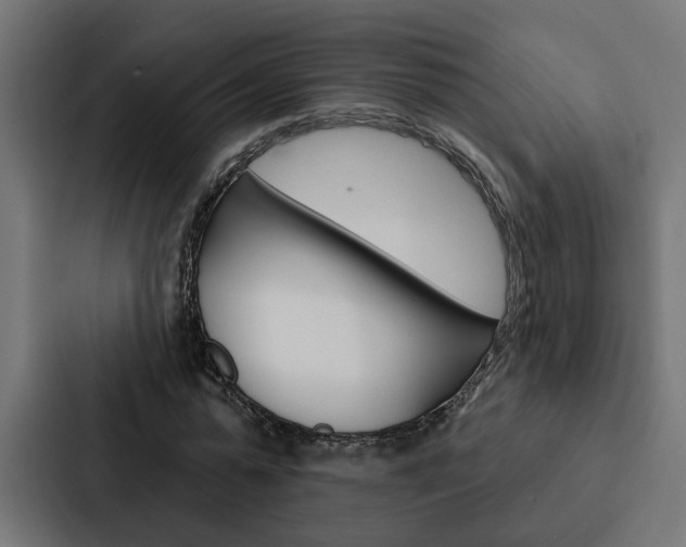 X0000088220775200705151028
