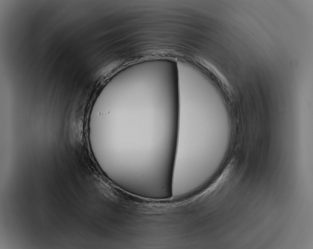 X0000088220777200705151028