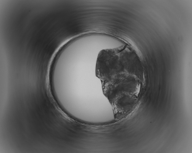 X0000088220780200705151028
