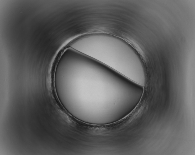 X0000088220784200705151028
