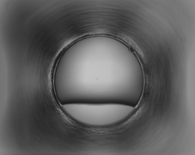 X0000088220789200705151028