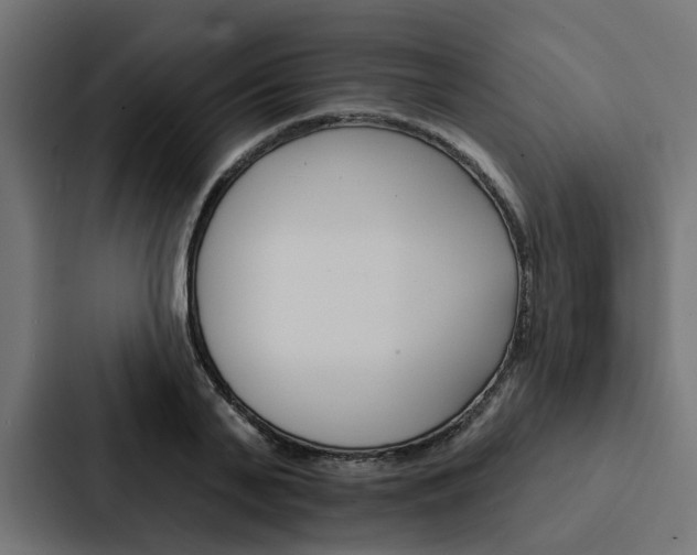 X0000088220791200705151028