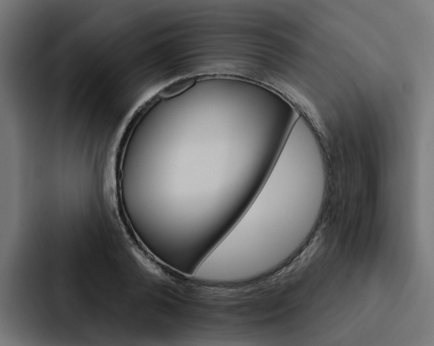 X0000088220792200705151028