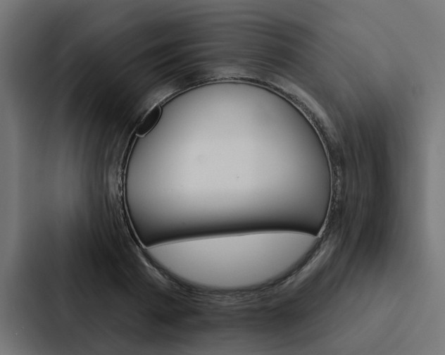 X0000088220793200705151028