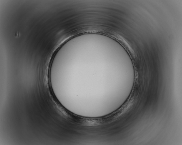 X0000088220794200705151028