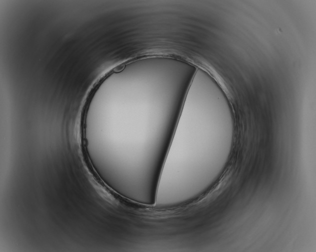 X0000088220795200705151028
