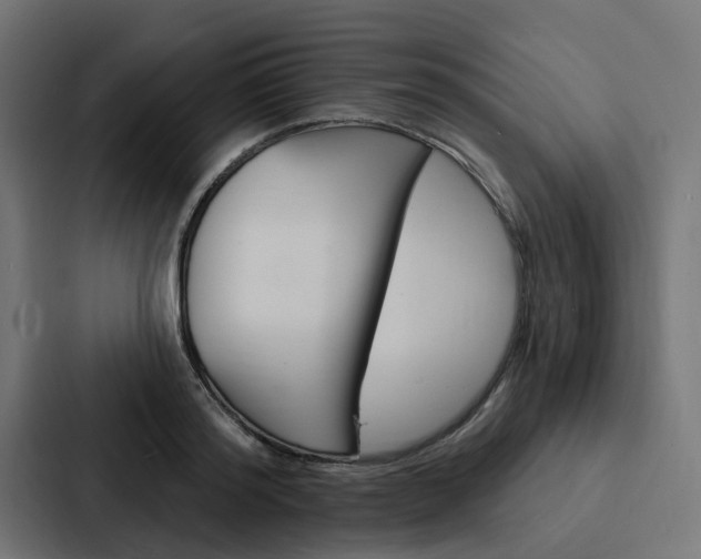 X0000088220796200705151028