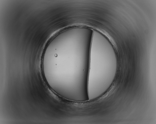 X0000088220799200705151028