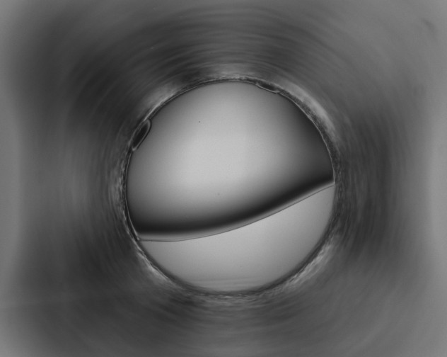 X0000088220801200705151028