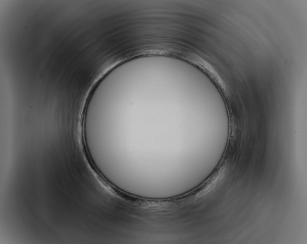 X0000088220802200705151028