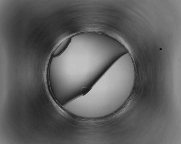 X0000088220803200705151028