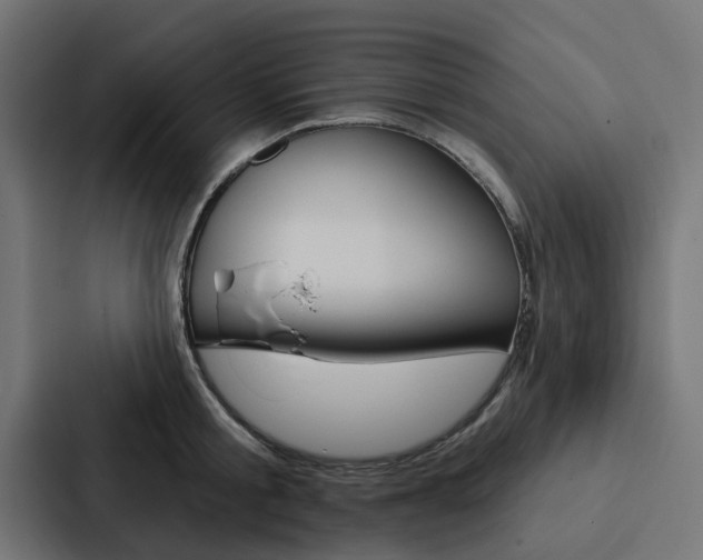 X0000088220805200705151028