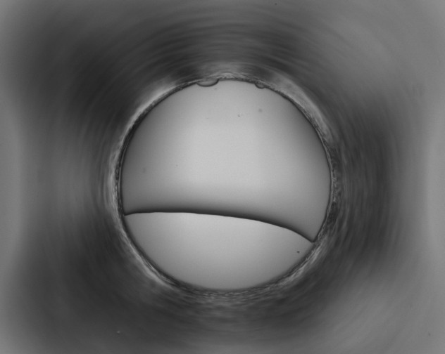 X0000088220806200705151028