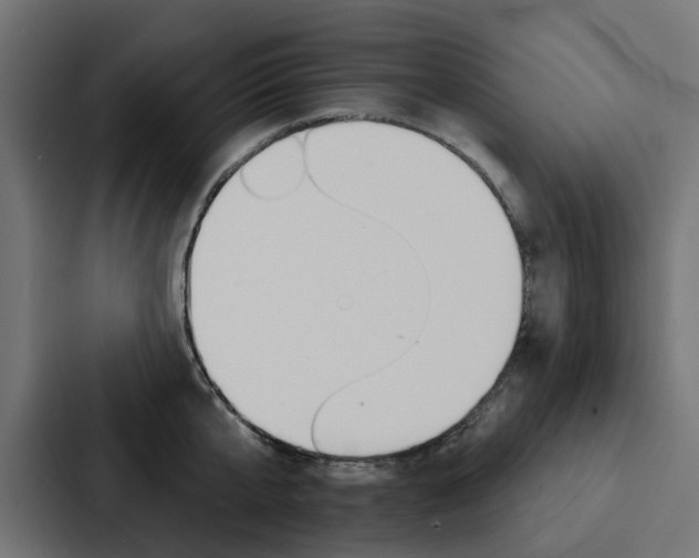 X0000088220807200705151028