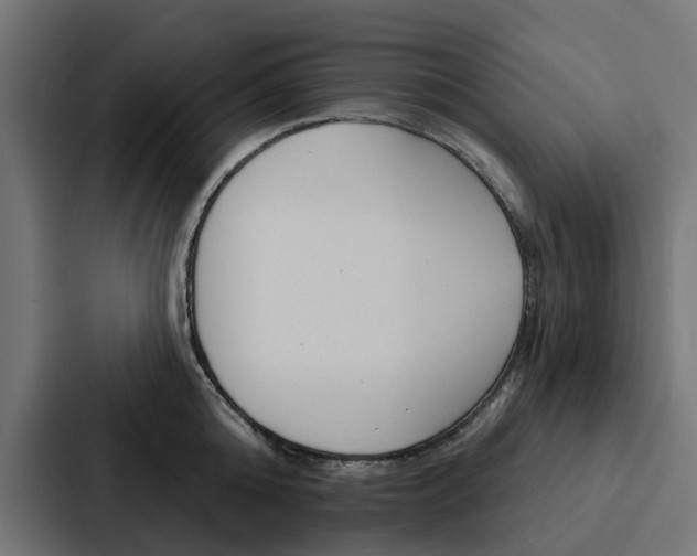 X0000088220808200705151028