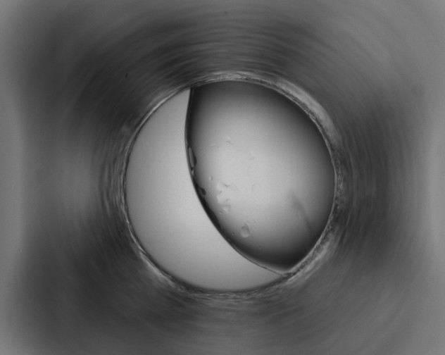 X0000088220809200705151028