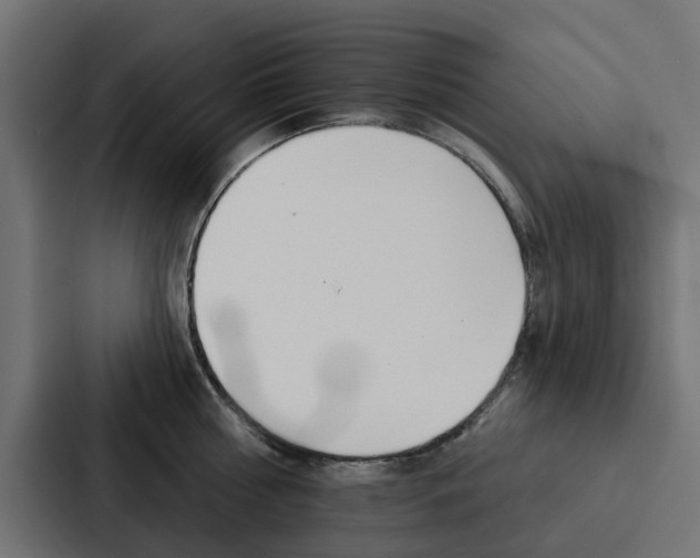 X0000088220810200705151028