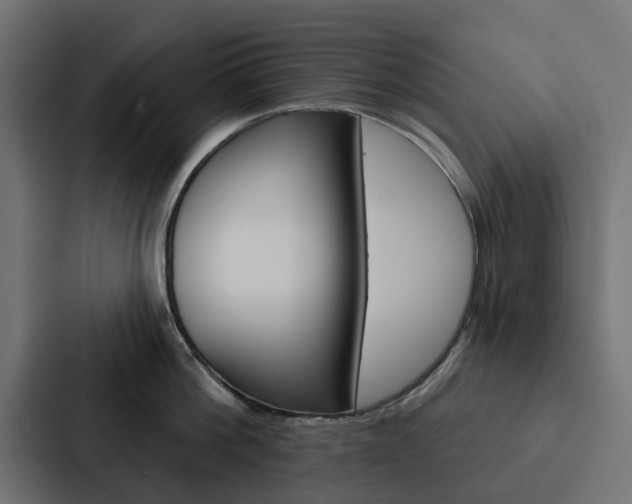 X0000088220812200705151028