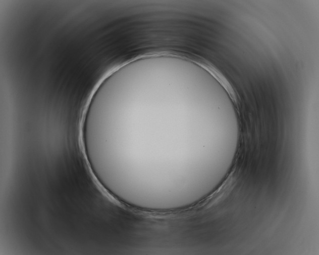 X0000088220813200705151028