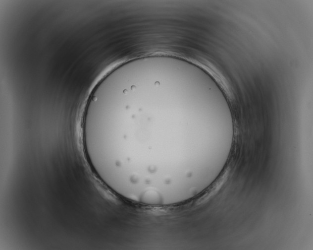 X0000088220814200705151028