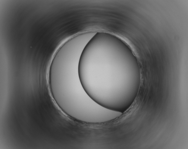 X0000088220815200705151028