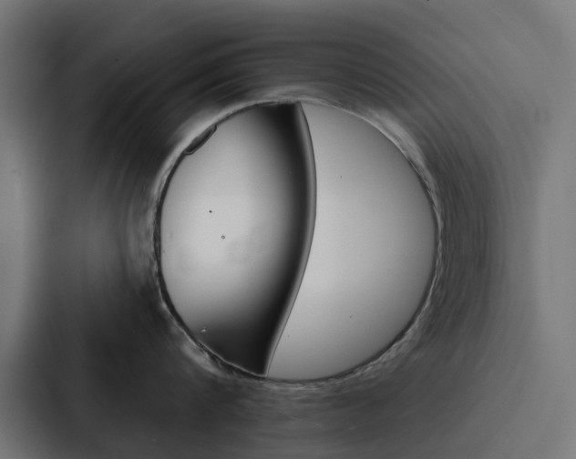 X0000088220816200705151028