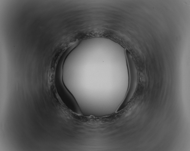 X0000088220818200705151027