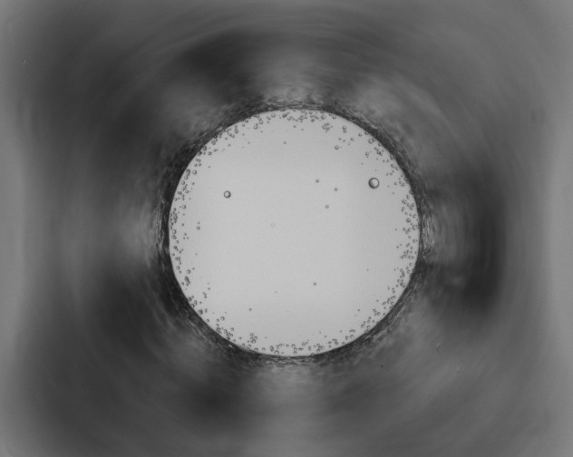 X0000088220820200705151027