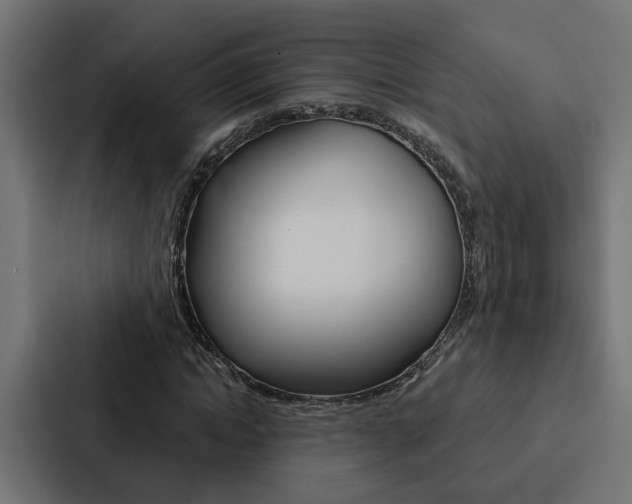 X0000088220822200705151027