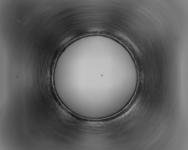 X0000088220825200705151027