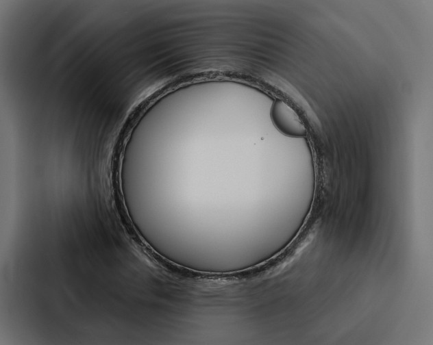 X0000088220826200705151027