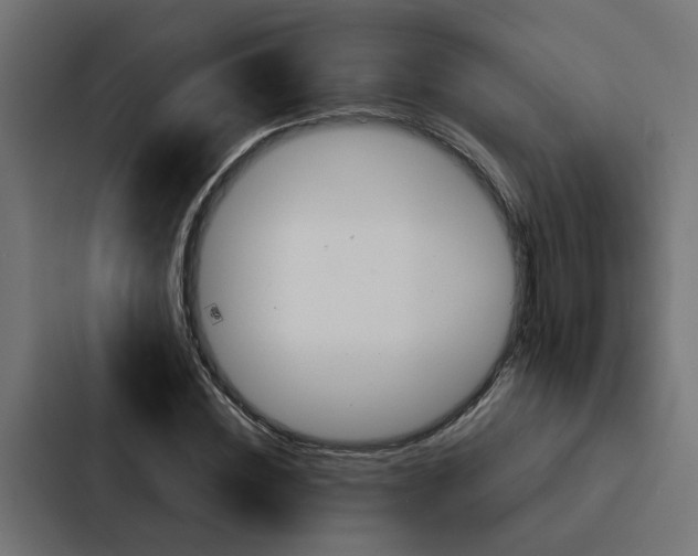 X0000088220828200705151027