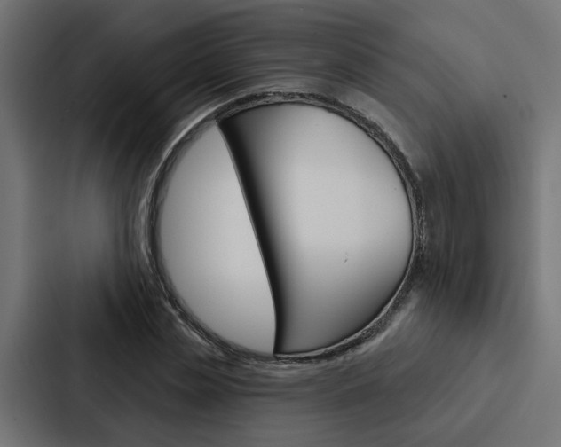 X0000088220829200705151027