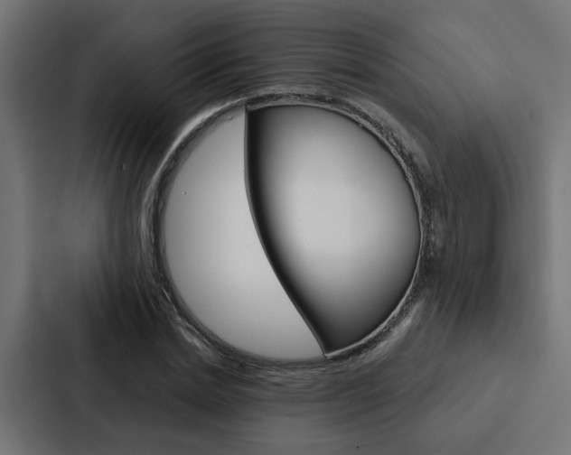 X0000088220830200705151027