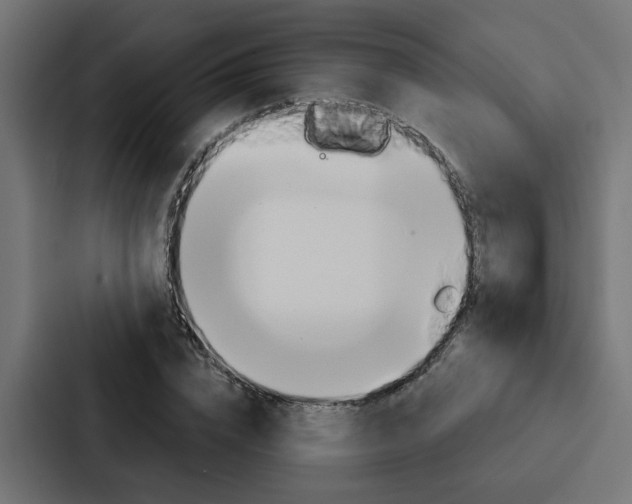 X0000088220832200705151027
