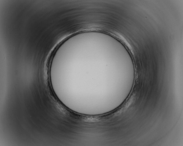 X0000088220835200705151027