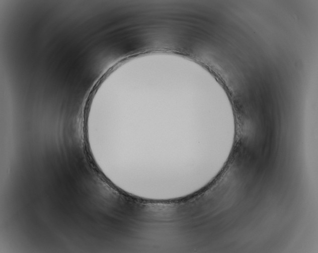 X0000088220836200705151027