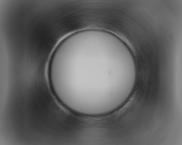 X0000088220838200705151027