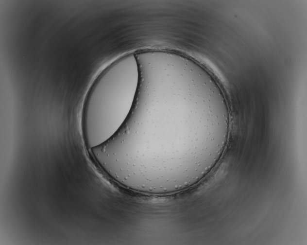 X0000088220839200705151027