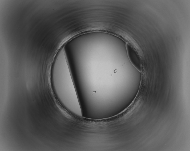 X0000088220842200705151027