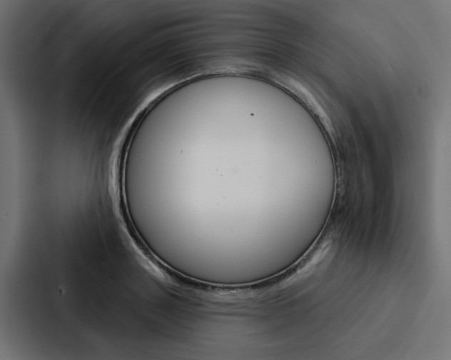 X0000088220843200705151027