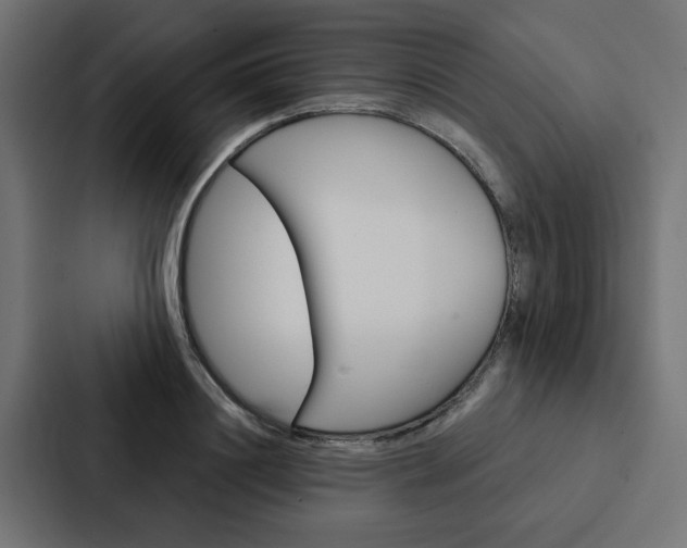 X0000088220844200705151027