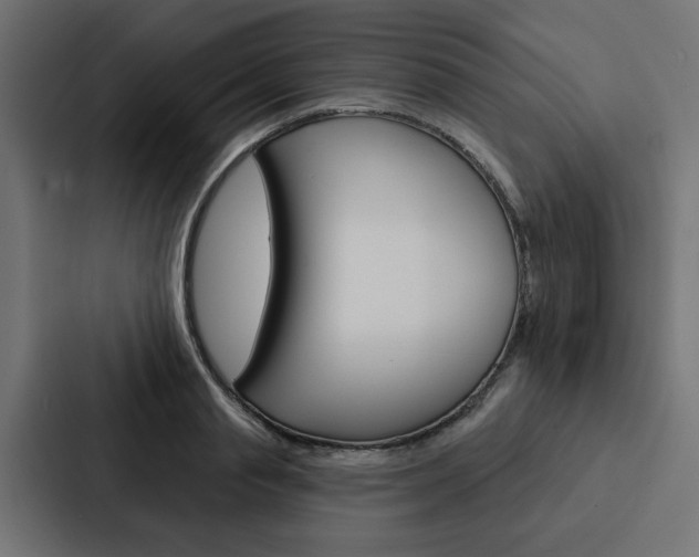 X0000088220845200705151027