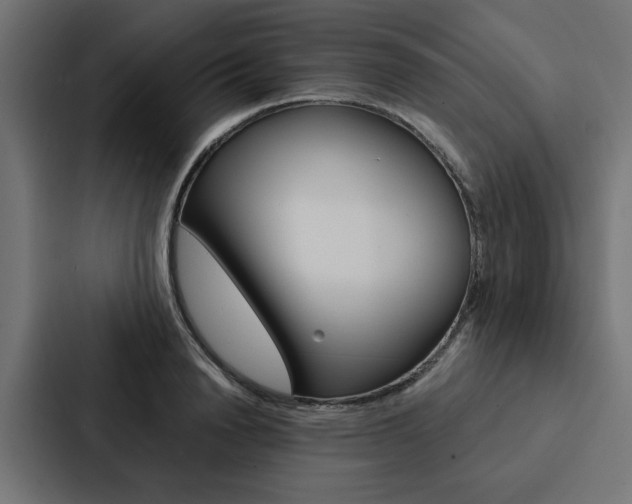 X0000088220846200705151027