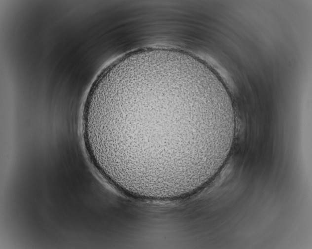 X0000088220848200705151027