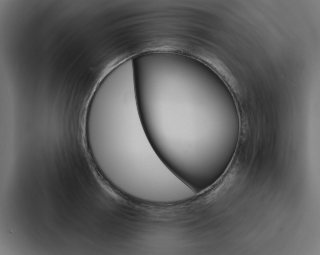 X0000088220850200705151027