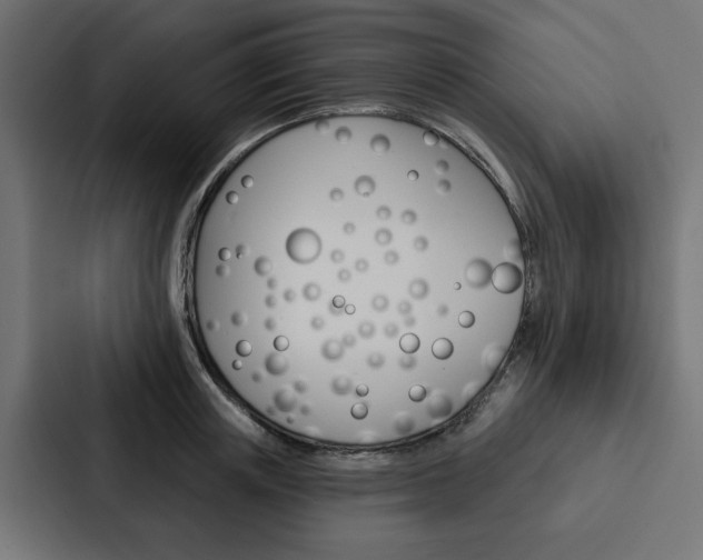 X0000088220851200705151027