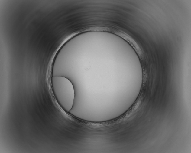 X0000088220852200705151027