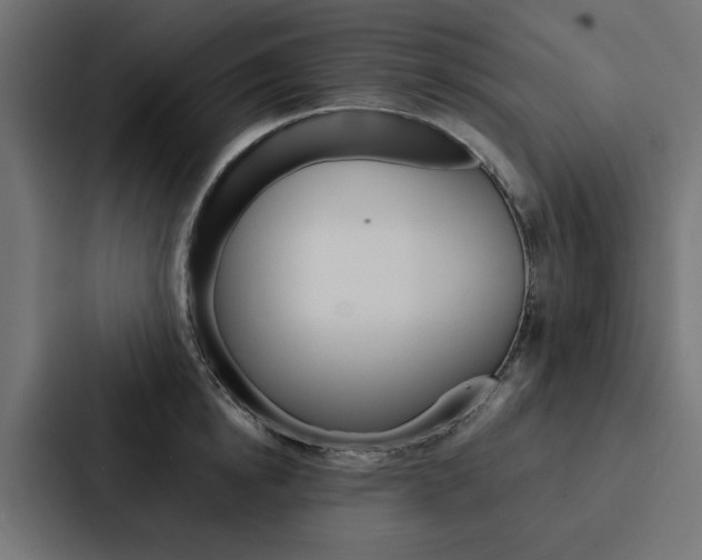 X0000088220854200705151027